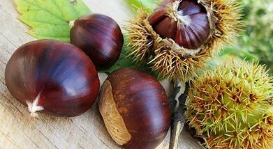 castanha da Índia para prevenção de varizes